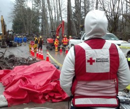 Red Cross worker Jennifer Ramieh looks out over the landslide response efforts.